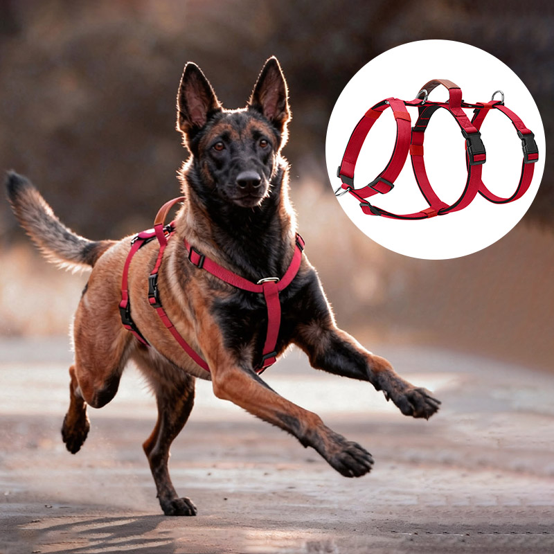 No Pull Dog Harness - Нейлоновая шлейка для собак с защитой