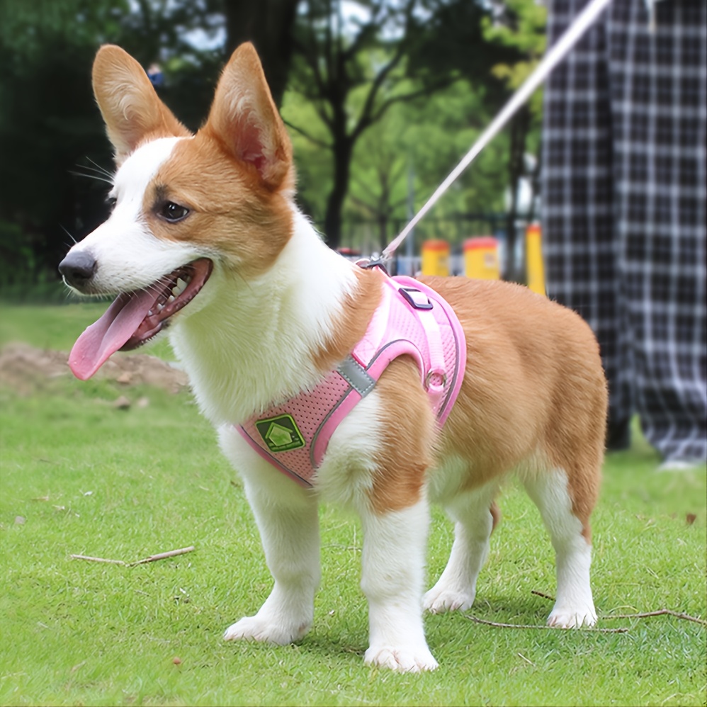 Светоотражающий комплект шлейк – обзор и цена No Pull Dog Harness