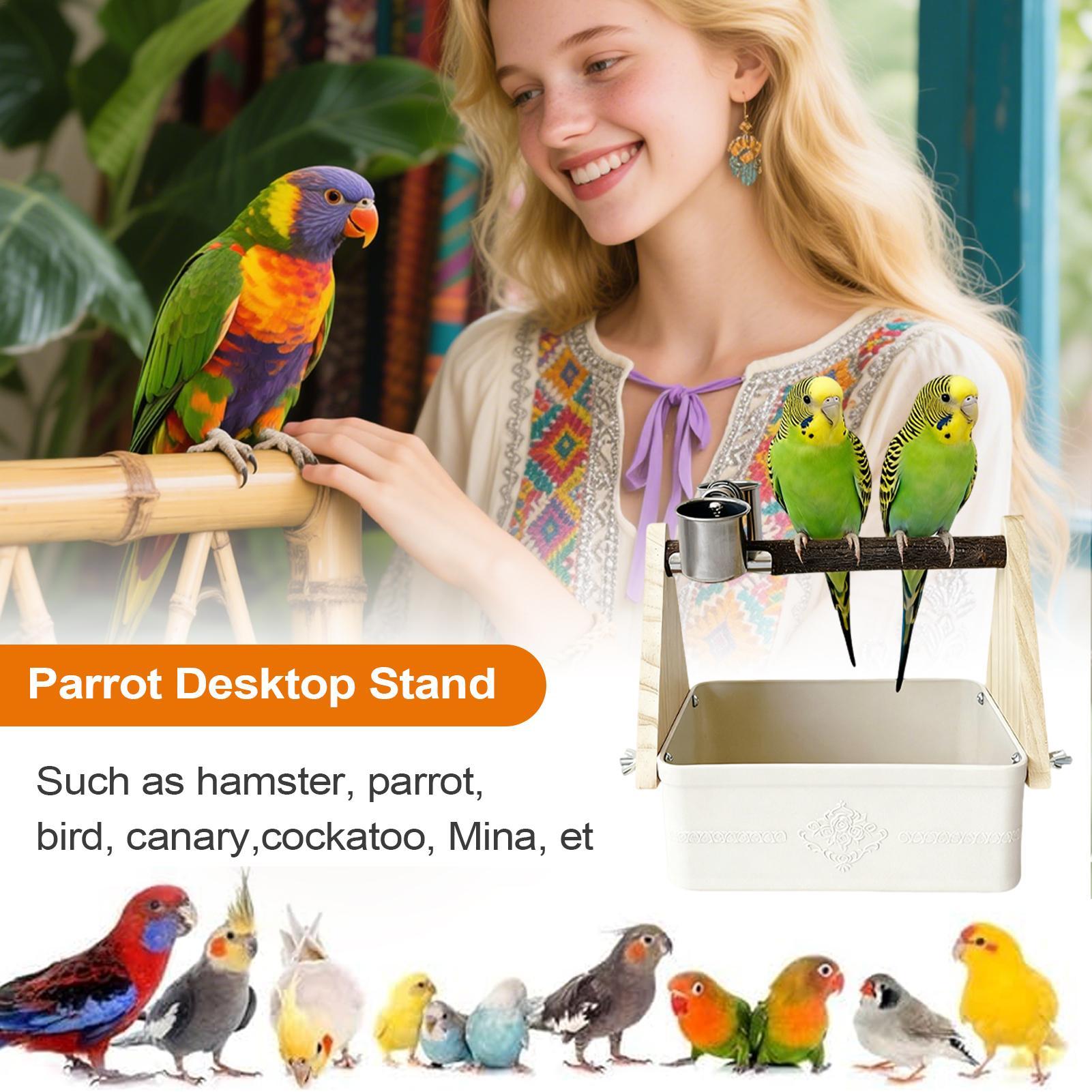 Настольная подставка-туалет дл – обзор и цена Pet Supplies Zoo