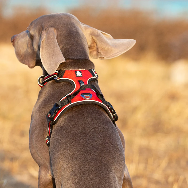 Светоотражающий нейлоновый шле – обзор и цена No Pull Dog Harness