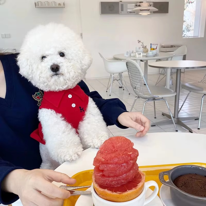 Новая футболка-поло для собак: – обзор и цена Pet Supplies Co