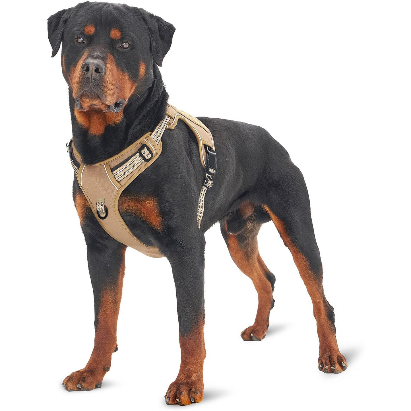 Военная тактическая шлейка для – обзор и цена No Pull Dog Harness