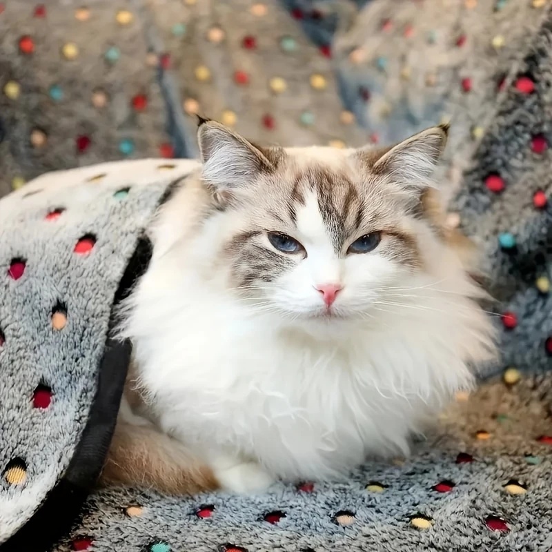 3 шт. мягкое пушистое одеяло д – обзор и цена Pet Supplies Outlet